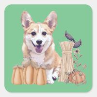 Corgi Puppy in Autumn