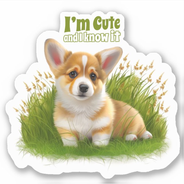 Corgi puppy on the grass | cute pet (Front)