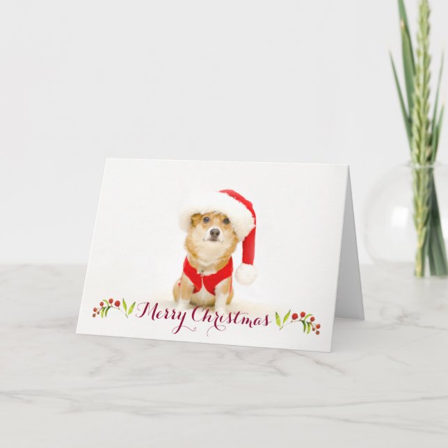 Corgi Santa Paws Christmas Card | DaysieMeetsWorld (Front)