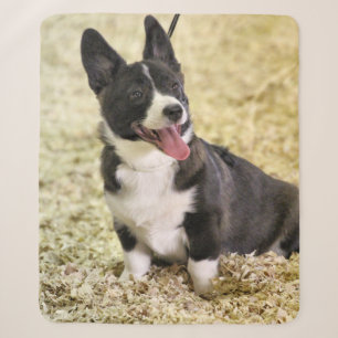 Corgi Sherpa Blanket