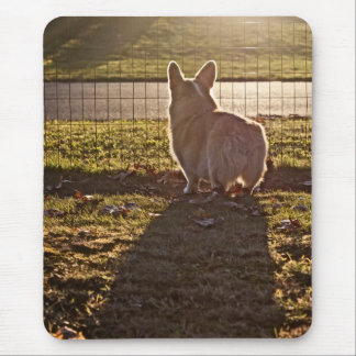Corgi Sunrise Mouse Mat