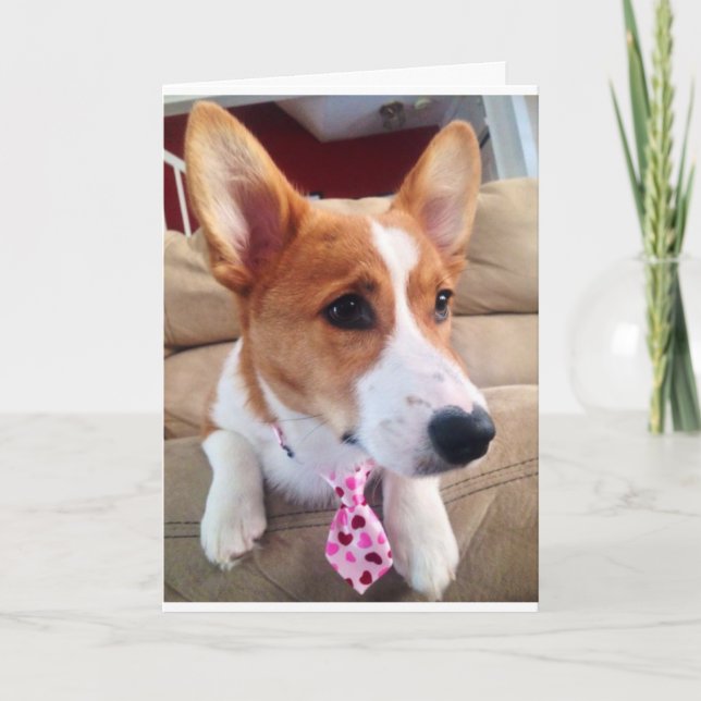 Corgi Valentine's Day Card (Front)