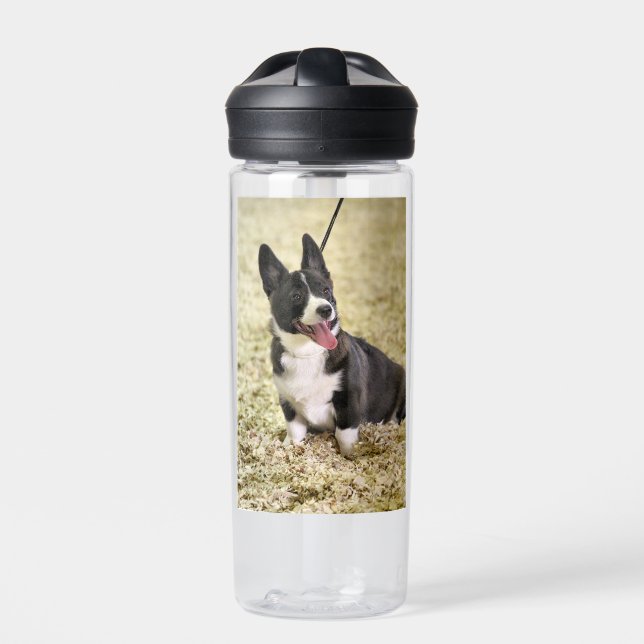 Corgi Water Bottle (Front)