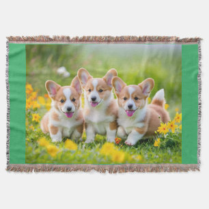 Corgies playing in the grass throw blanket