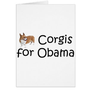 Corgis for Obama