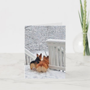 Corgis in the Snow Holiday Card