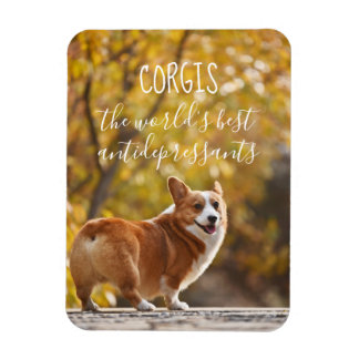 Corgis The World's Best Antidepressants Magnet