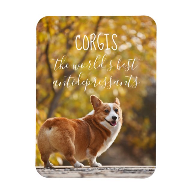 Corgis The World's Best Antidepressants Magnet (Vertical)