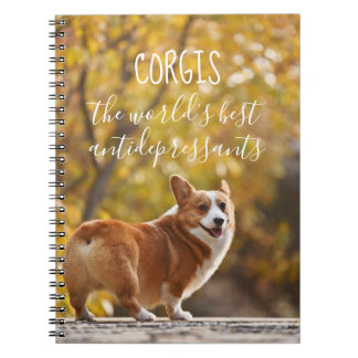Corgis The World's Best Antidepressants Notebook