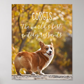 Corgis The World's Best Antidepressants Poster