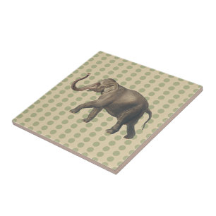 Coriander Spice Moods Dots with Elephant Tile