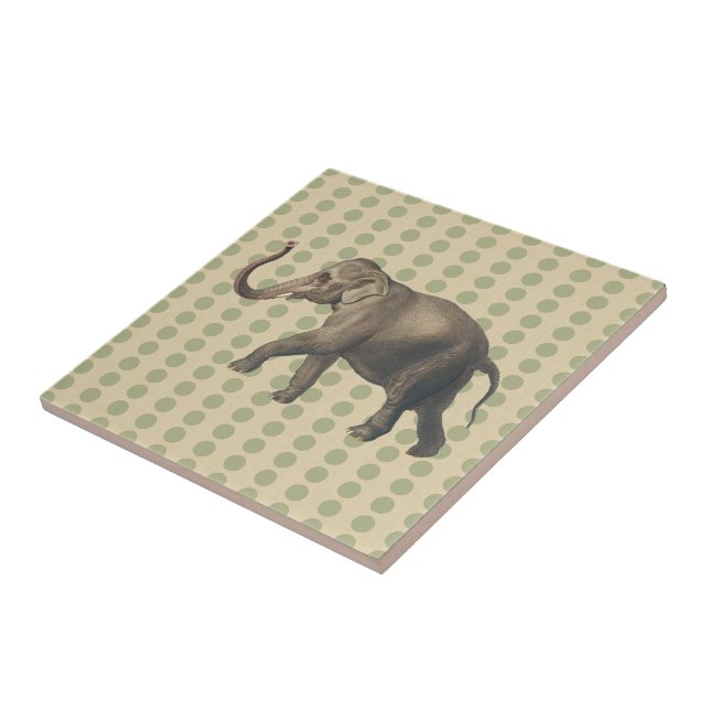 Coriander Spice Moods Dots with Elephant Tile (Side)