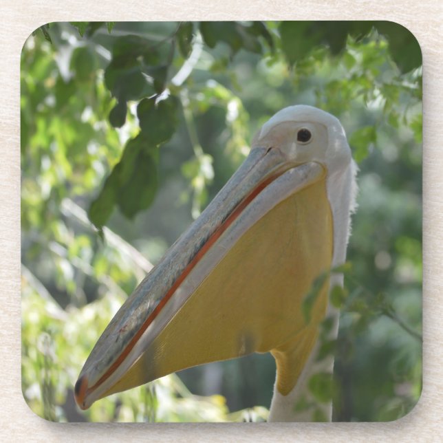 Cork Coaster with funny pelican (Front)