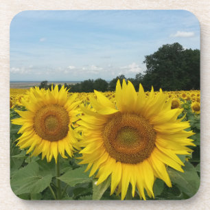 Cork Coaster with Sunflower