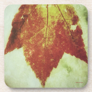 Cork Coasters, Set of six ~ Autumn Leaf Coaster