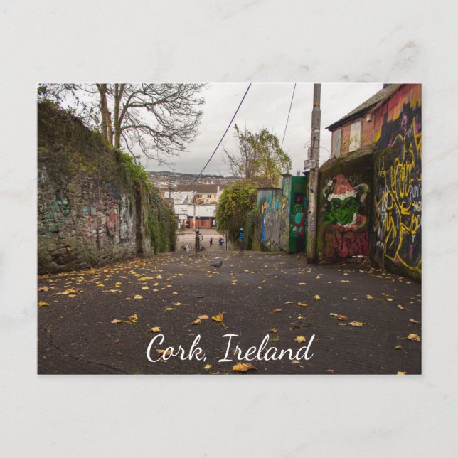 Cork Ireland Street Art Photographic Postcard (Front)
