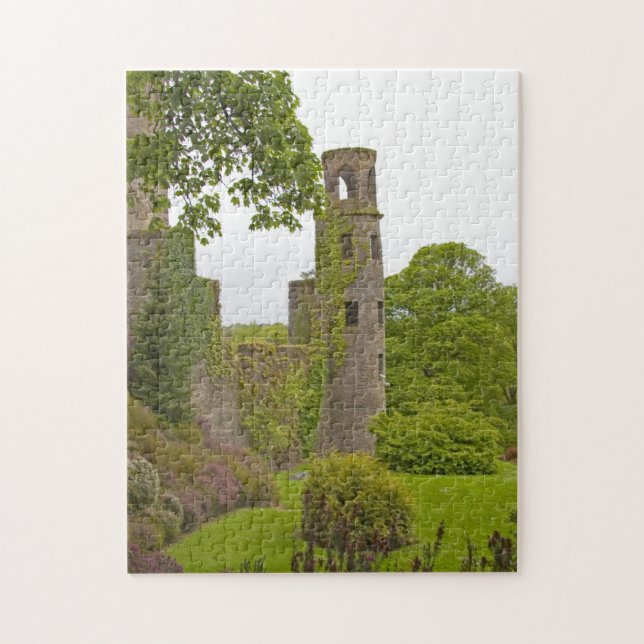 Cork, Ireland. The infamous Blarney Castle 2 Jigsaw Puzzle (Vertical)