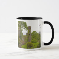 Cork, Ireland. The infamous Blarney Castle 2