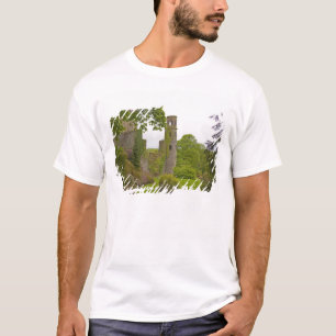 Cork, Ireland. The infamous Blarney Castle 2 T-Shirt
