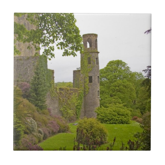 Cork, Ireland. The infamous Blarney Castle 2 Tile (Front)