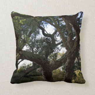 Cork oak or tree of the cork, elegant tree cushion