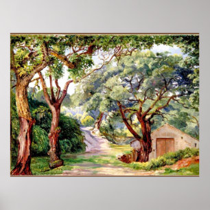 Cork Trees at Cintra near Lisbon, Poster