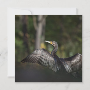 Cormorant Bird Nature Photo Card