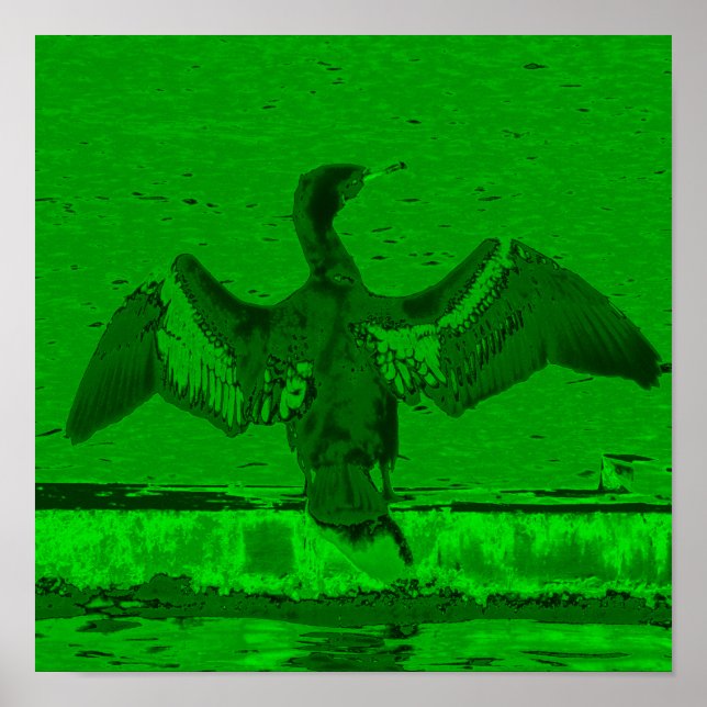 Cormorant Display Poster (Front)