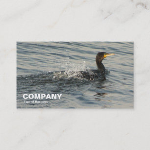 Cormorant Learning to Swim Business Card
