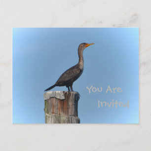 Cormorant Seabird Invitation Postcard