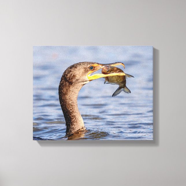 Cormorant with a fish canvas print (Front)