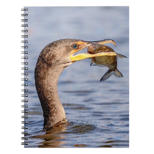 Cormorant with a fish notebook (Front)
