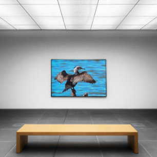 Cormorant With Outspread Wings On Blue Water Art Canvas Print