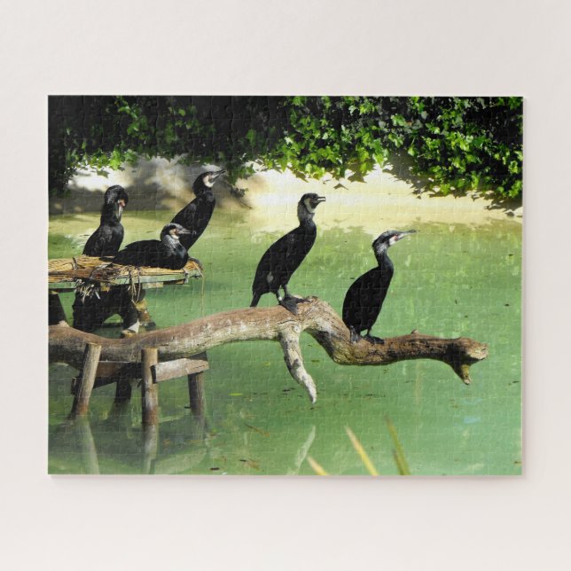 Cormorants Jigsaw Puzzle (Horizontal)