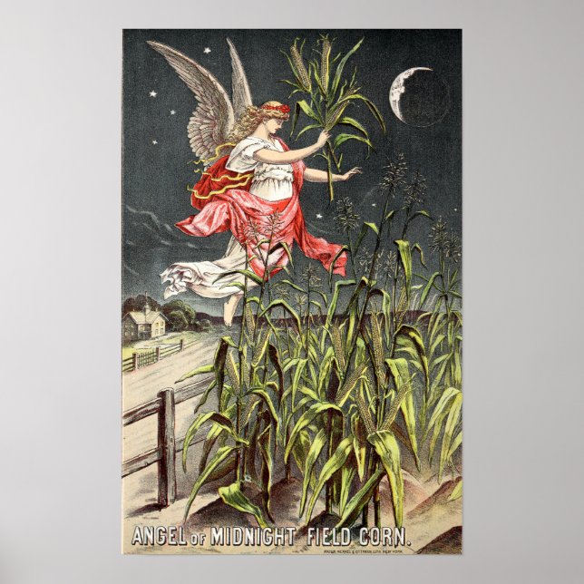 Corn Ad From Victorian Era Seed Catalog Poster (Front)