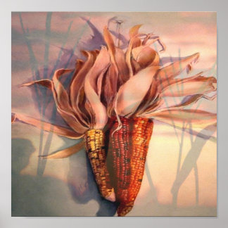 Corn at sunset poster