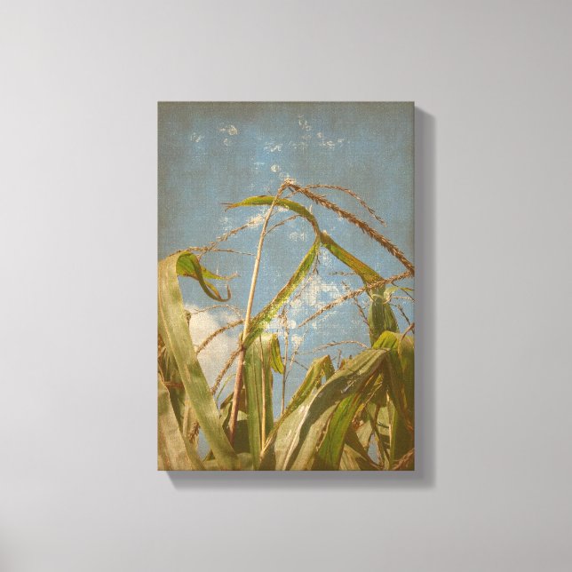Corn Canvas Print (Front)