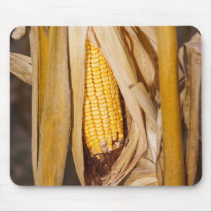 Corn Cobb On Stalk Mouse Mat
