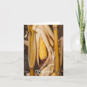 Corn Cobb On Stalk Thank You Card