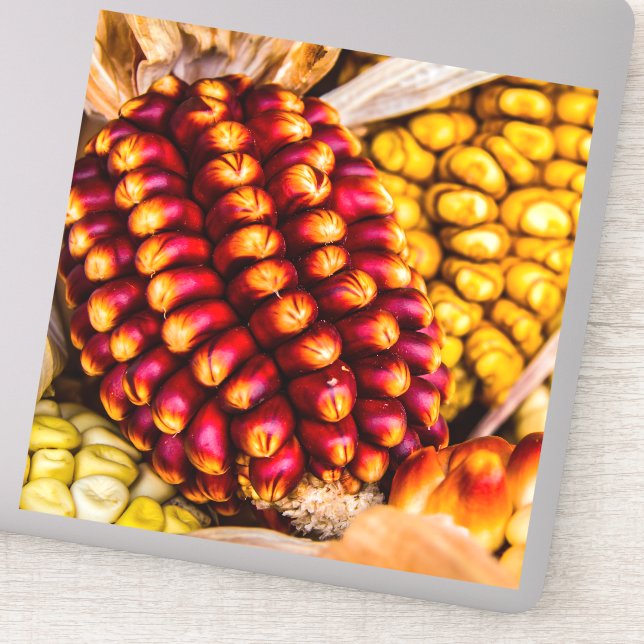 Corn cobs (Detail)