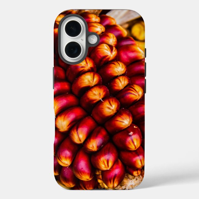 Corn cobs Case-Mate iPhone case (Back)