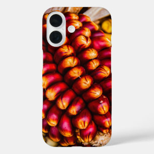 Corn cobs iPhone 16 case