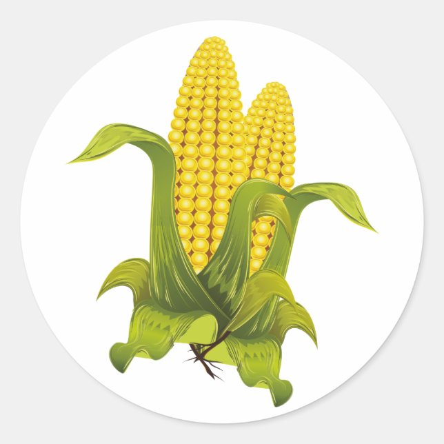 corn cobs classic round sticker (Front)