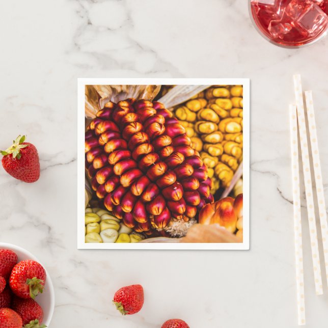 Corn cobs napkin (Insitu)