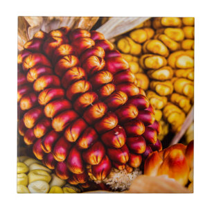 Corn cobs tile