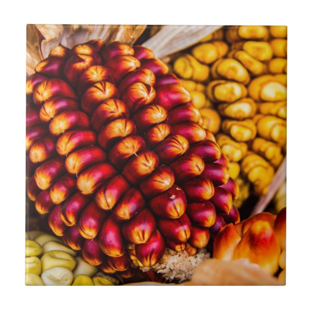 Corn cobs tile (Front)
