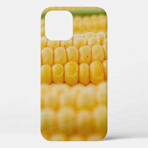 Corn corn on the cob corn kernels iPhone 12 case