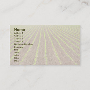 Corn field business card