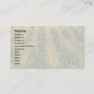 Corn field business card