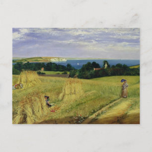 Corn Field in the Isle of Wight Postcard